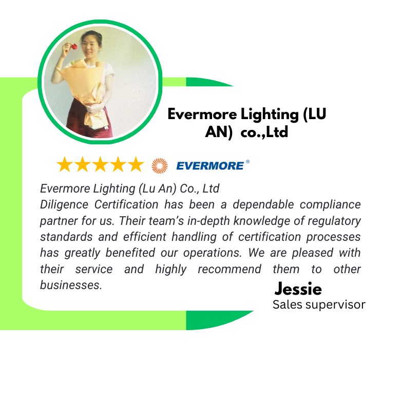 Diligence Certification BIS consultancy in India (Client Testimonial)